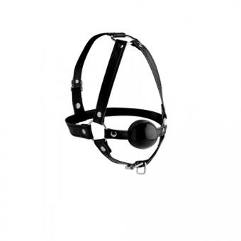 Head harness with ball gag