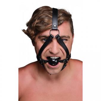 Head harness with ball gag