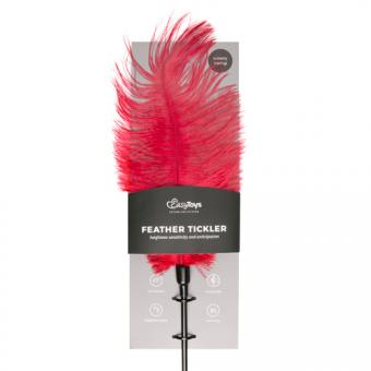 Red feather tickler