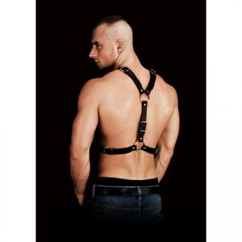 Thanos chest harness