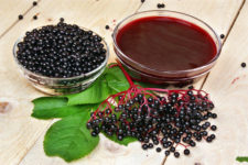 Elderberry