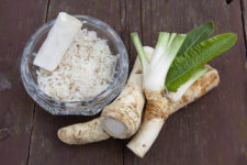 horseradish