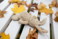 rabbit on bench