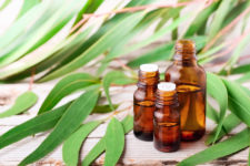 Eucalyptus essential oil